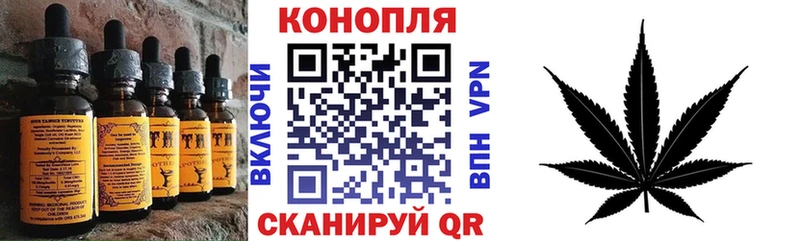 Купить где  Циолковский  Печенье с ТГК марихуана 