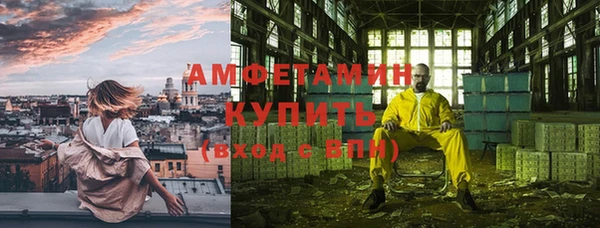 индика Ельня