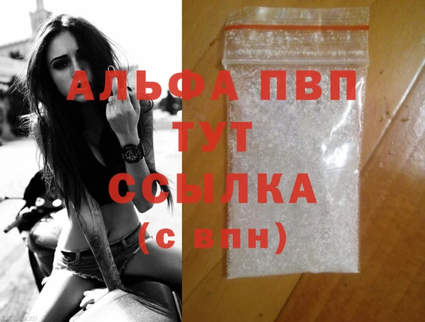 шишки Дмитриев