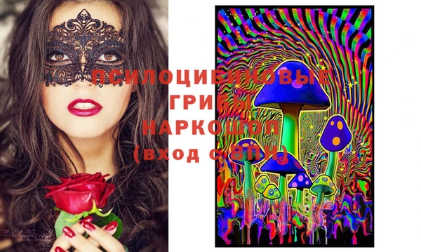 шишки Дмитриев