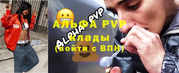 шишки Дмитриев