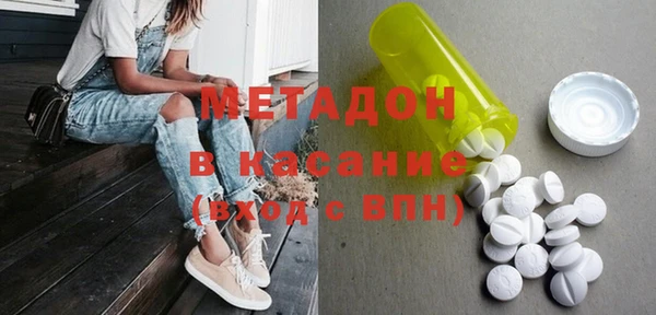индика Ельня