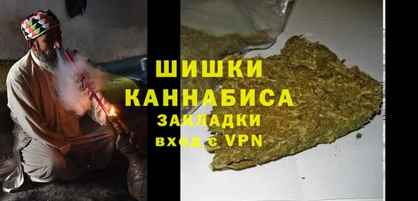 шишки Дмитриев
