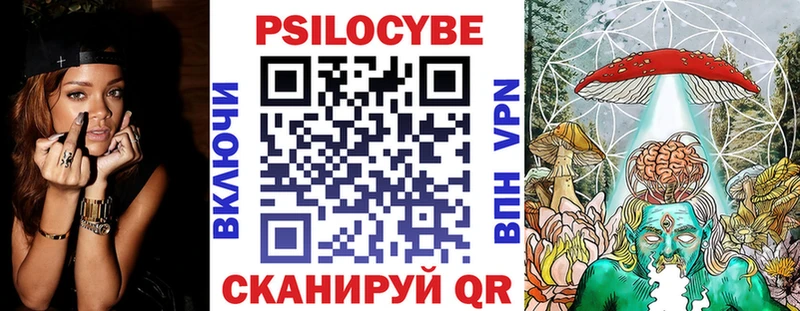 Псилоцибиновые грибы Cubensis  Купить где  Циолковский 
